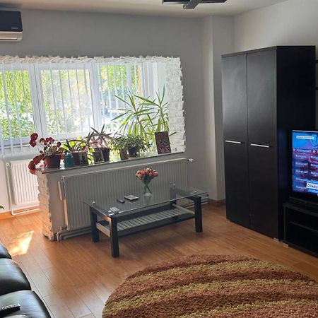 Apartament 3 Camere オトペニ エクステリア 写真